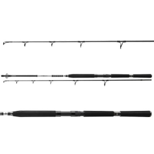 Daiwa BG Offshore Pilk 2,70m 50-165g 2pc S