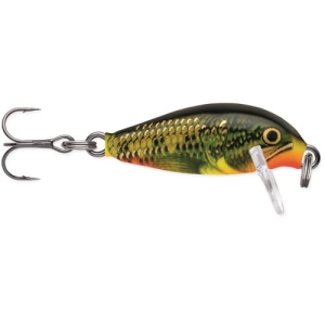 RAPALA Countdown 2,5 cm CD01 FMN
