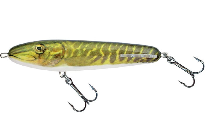SALMO SWEEPER 17cm 97g Sinking REAL PIKE.jpg