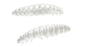 Libra Lures Larva 35mm Kaas Kol.4 12st