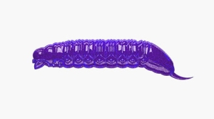 Libra Lures GOLIATH 30mm krill Kol.20 15st