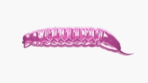 Libra Lures GOLIATH 30mm krill Kol.18 15st