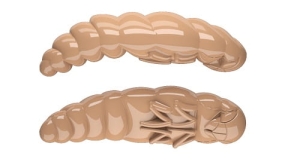 Libra Largo 30mm Kaas Kol.35 12st