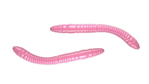 Libra Lures FATTY D'WORM 55mm Kol.17.jpg