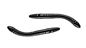 Libra Lures FATTY D'WORM 55mm Kaas Col.40 12st