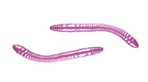 Libra Lures FATTY D'WORM 55mm Kaas Col.18 12st