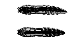 Libra Kukolka 27mm krill Kleur.40 15st
