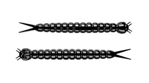 Libra Worm 38mm Kaas Col.40 15st