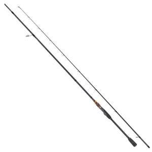 Robinson CityLiner Salm 3.00m 10-50g 2pc S