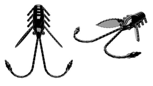LIBRA PRO NIMF 18MM KRILL COLL. 40 15st