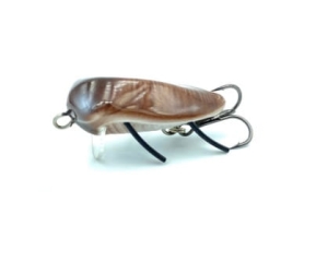 Gloog Wioslak CM