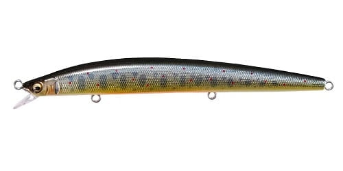 Wobler Megabass GH120 Takumi Iwana.jpg