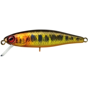Wobbler ILLEX Tiny Fry 50 SP HL Gold Trout