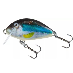 Salmo Tiny 3.0cm Holo spiering FL wobbler