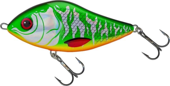 Salmo Slider HOLO TIGER.jpg
