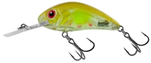 Salmo Rattlin Hornet 3.5cm Drijvend CLEAR AYU