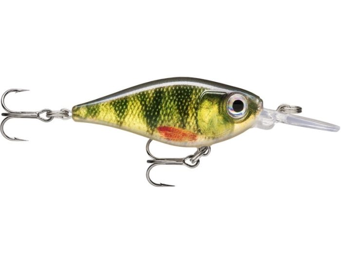 Rapala X-Light Shad 04 Live Perch.jpg