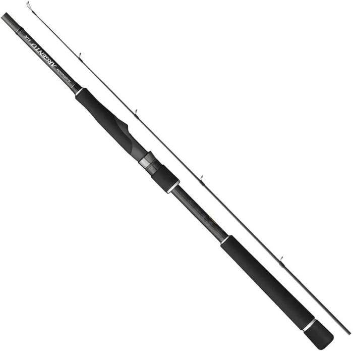 /environment/cache/images/productGfx_131360_700_700/Graphiteleader-24-ARGENTO-UX-2.82m-7-28g-2cz-S.jpg