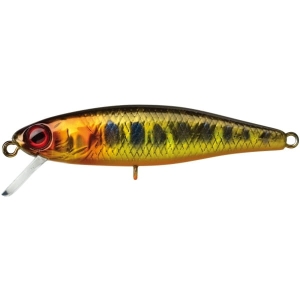 KLEINE BAKVIS 38 SP HL GOUDFOREL