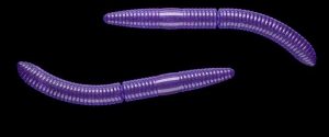 Libra Kunstaas Fatty D'Worm 65mm Kaas Col.20 10st
