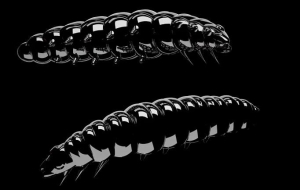 Libra Kunstaas Larva 45mm Krill Col.040 8st