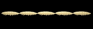 Libra Kunstaas Larva Multi 005 Kaas 25st
