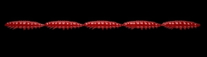 Libra Kunstaas Larva Multi 021 Rood Kaas 25st