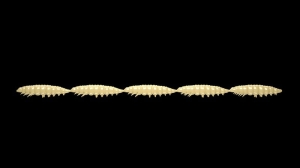 Libra Kunstaas Larva Multi 005 Kaas Krill 25st