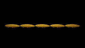 Libra Kunstaas Larva Multi 036 Koffiemelk Krill25st