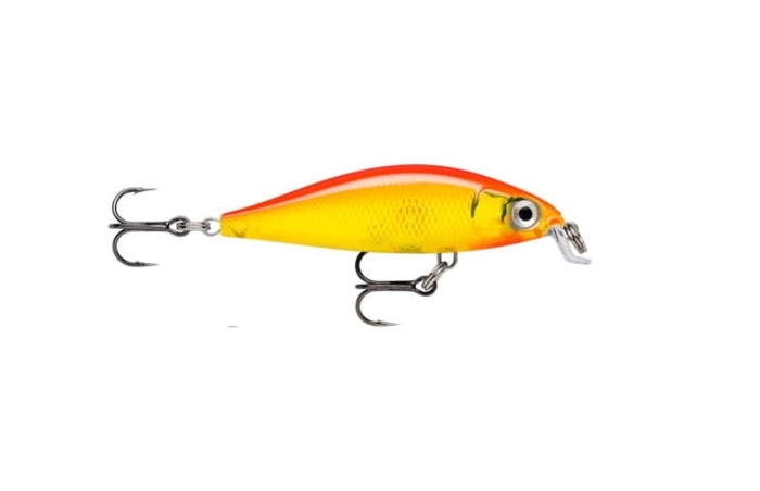 Rapala X-Light Minnow 5cm GFR.jpg