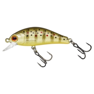 GUNKI Rodan 40 SHW Wilde forel