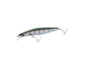 Shimano Cardiff ML Bullet AR-C 10 g 93 mm 006 Wakasa