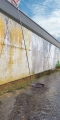 Podbieraki Balzer Shirasu Street 45x50cm 4m1.jpg