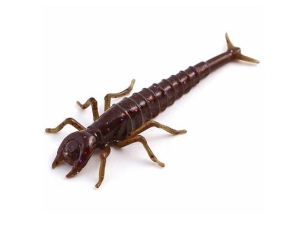 FishUP Diving Bug 5cm #050 Green Pumpkin Brown Red Purple 8pc