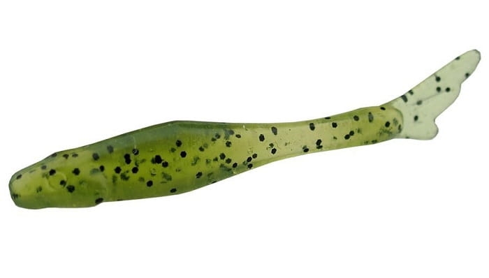 tiny-15-042-watermelon-seed.jpg