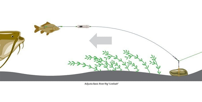 /environment/cache/images/productGfx_46881_700_700/madcat-adjusta-basic-river-rig-live-bait-k9.jpg