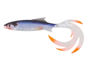 BALZER Reptile Shad Print 11cm Roach 1pc