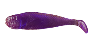 Realistic Shad JAZGARZ 4cm J4 046 20pc