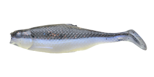 Realistische Shad FAT 7cm P7 029 10st