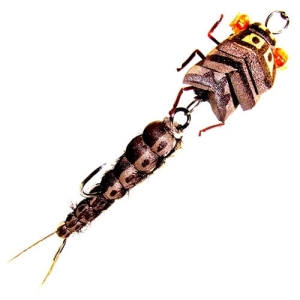 Drijvende Realistische Jig Stonefly Groot Dubbel Bruin