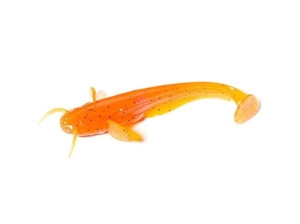 FishUP Meerval 2" #049 Oranje Pompoen/Zwart 10st