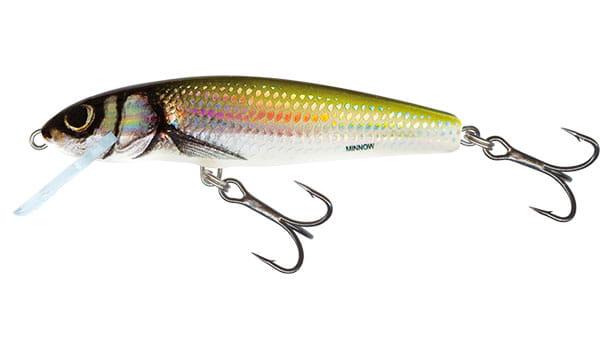 minnow-qmw002.jpg