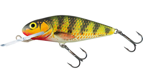 perch-qph002.jpg