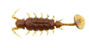 LUCKY JOHN ALIEN BUG 1.5" 3.8cm PA03 10pc