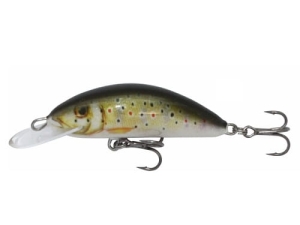  Wobbler Kenart Fox 5 TR