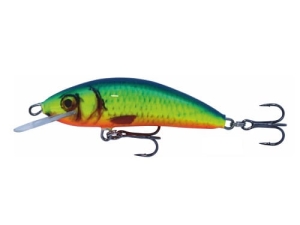 Wobbler Kenart Winner 6 NRX 