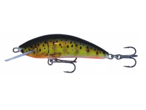 Wobbler Kenart Winner 5 T
