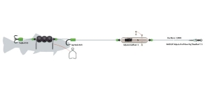 MADCAT System Catfish ADjusta  Deadbait S/20g