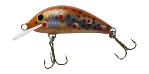 Gloog Hektor 35N Col:BT