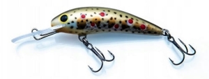 Gloog Kalipso 60 SDR Col:TN1.